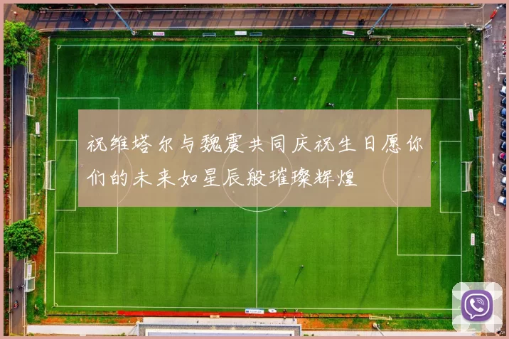 祝维塔尔与魏震共同庆祝生日愿你们的未来如星辰般璀璨辉煌
