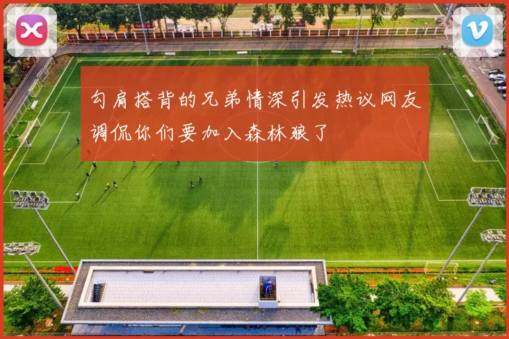 勾肩搭背的兄弟情深引发热议网友调侃你们要加入森林狼了