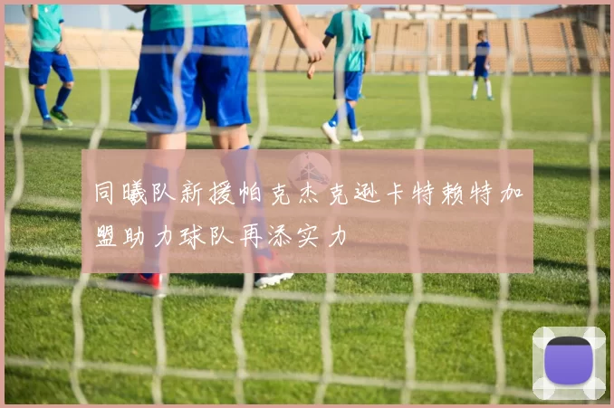 同曦队新援帕克杰克逊卡特赖特加盟助力球队再添实力
